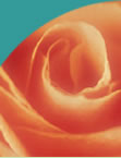 Holistic medicine clinic in Shoreline Washington